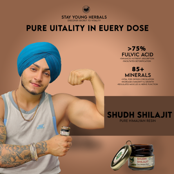 Shudh Shilajit - Pure Himalayan Resin